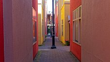 _DSF1388_DxO