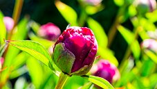 _DSC0228_DxO