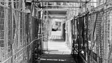 _DSC0248_DxO