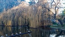 20260118-_DSF0747_DxO