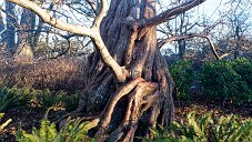 20260118-_DSF0748_DxO