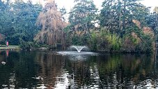 20260118-_DSF0751_DxO