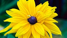 _DSC1046_DxO