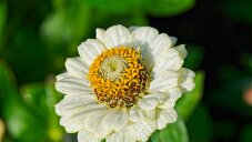 _DSC1047_DxO
