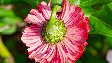 _DSC1049_DxO