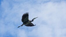 _DSC1052_DxO