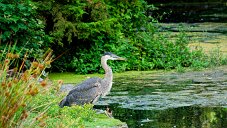 _DSC1053_DxO