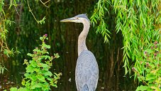_DSC1063_DxO