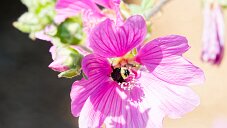 _DSC1074_DxO