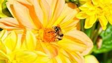 _DSC1080_DxO