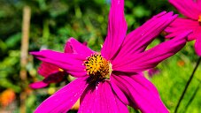 _DSC1086_DxO