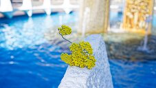 _DSC2292_DxO